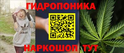 спиды Бердск