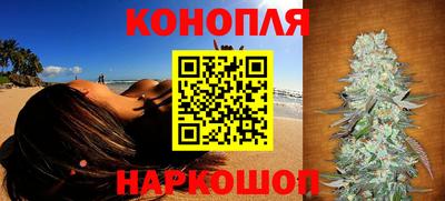 спиды Бердск