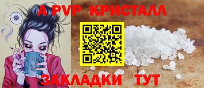 спиды Бердск