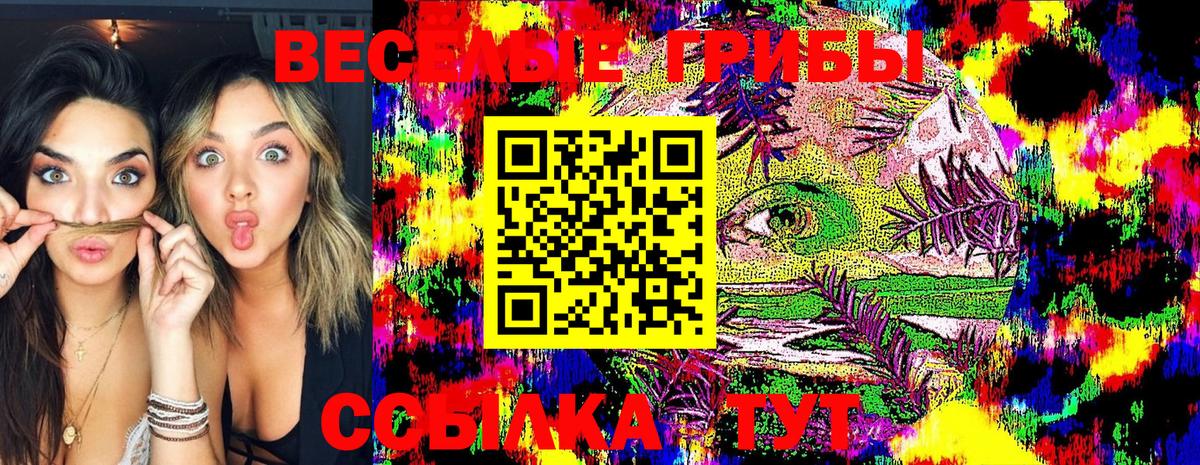 Псилоцибиновые грибы Psilocybine cubensis  Вход с VPN  Галлюциногенные грибы Cubensis  Котлас 
